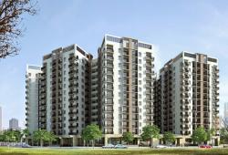 Thị trường đang tràn ngập nhiều dự án mới