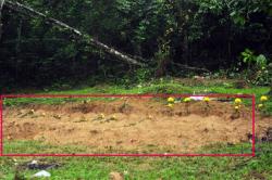 Người dân bàng hoàng phát hiện bị chôn trộm 29 ngôi mộ vào trang trại