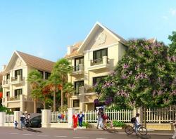 Liền Kề Geleximco Lê Trọng Tấn