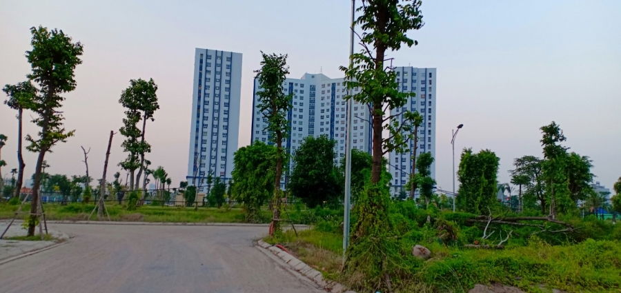 BÁN ĐẤT ĐÀ LẠT