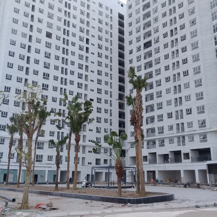 BÁN ĐẤT ĐÀ LẠT