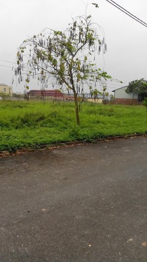 BÁN ĐẤT ĐÀ LẠT