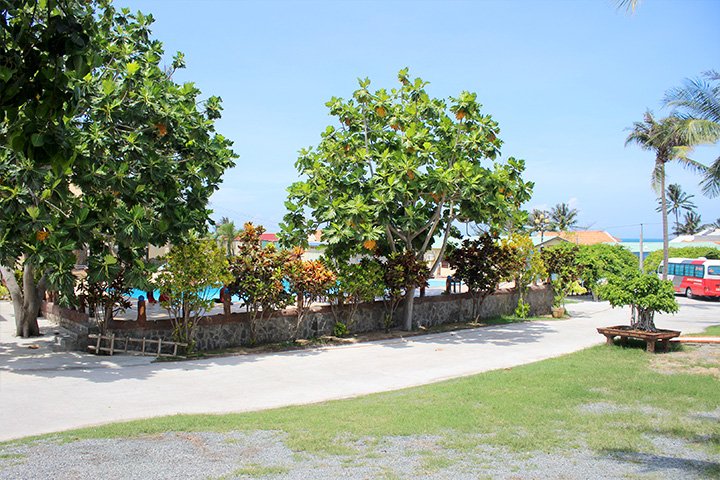 BÁN ĐẤT ĐÀ LẠT