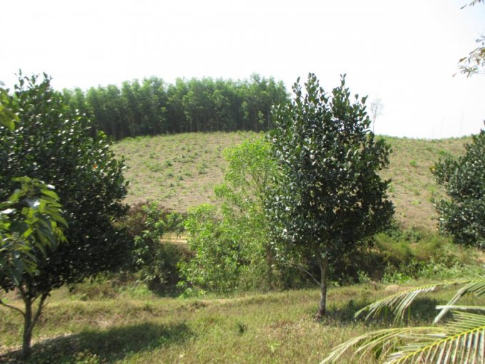 BÁN ĐẤT ĐÀ LẠT