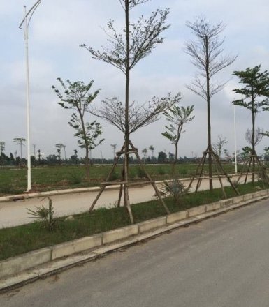 BÁN ĐẤT ĐÀ LẠT