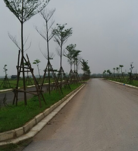 BÁN ĐẤT ĐÀ LẠT