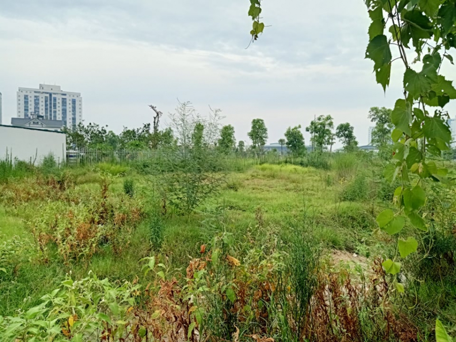 BÁN ĐẤT ĐÀ LẠT