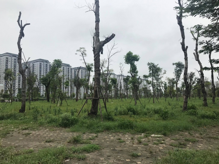 BÁN ĐẤT ĐÀ LẠT