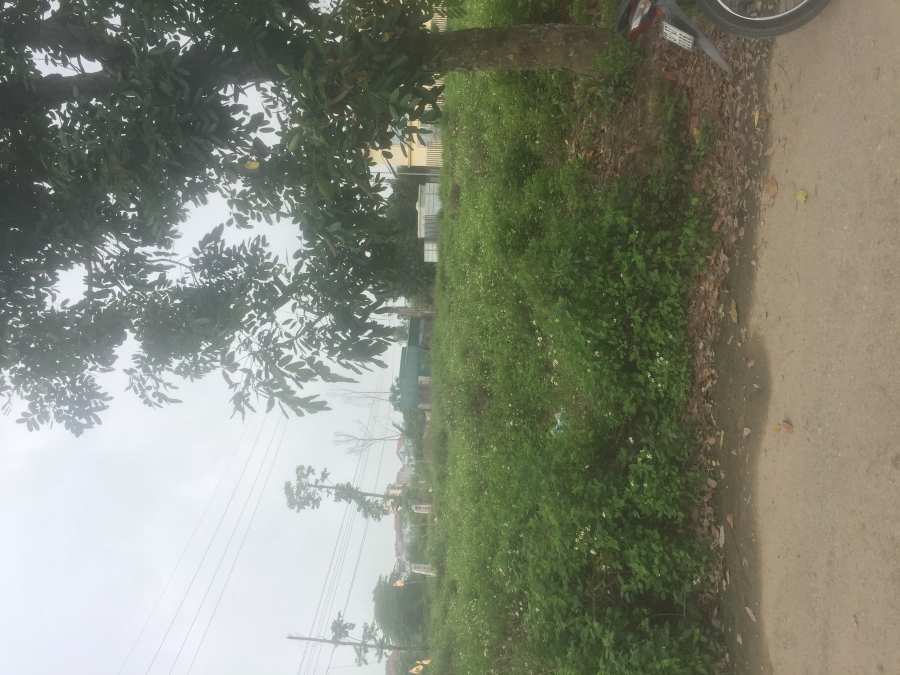 BÁN ĐẤT ĐÀ LẠT