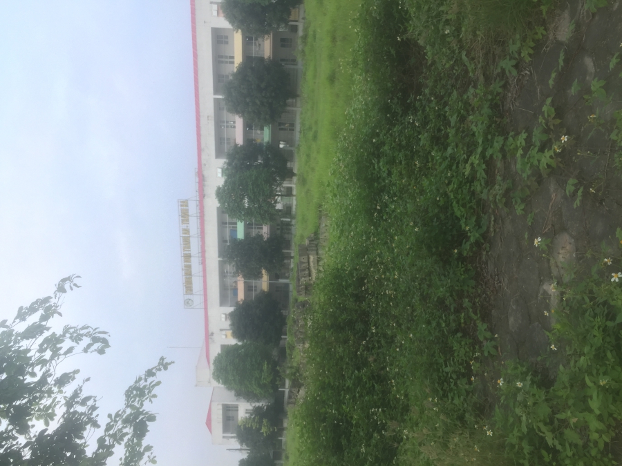 BÁN ĐẤT ĐÀ LẠT