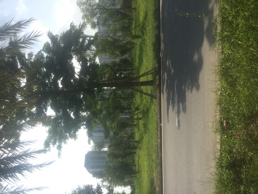 BÁN ĐẤT ĐÀ LẠT