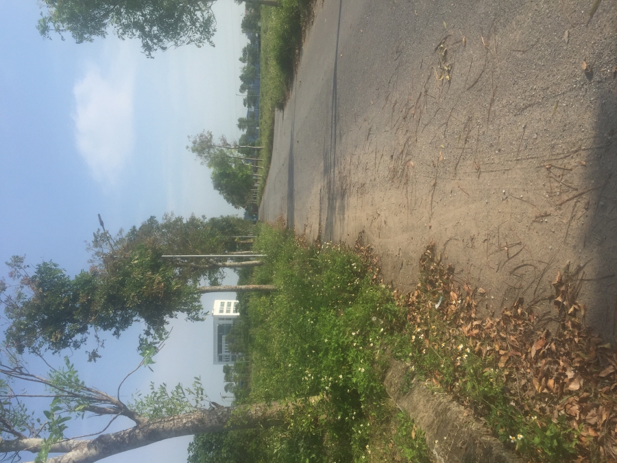 BÁN ĐẤT ĐÀ LẠT