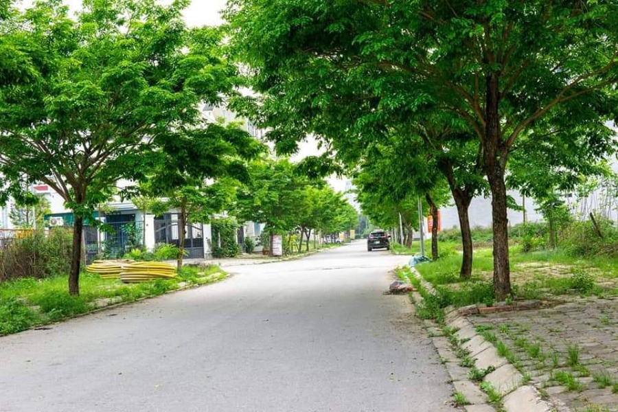 BÁN ĐẤT ĐÀ LẠT