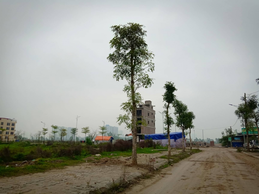 BÁN ĐẤT ĐÀ LẠT