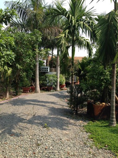 BÁN ĐẤT ĐÀ LẠT