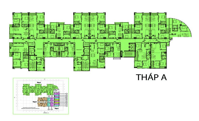 Thiết kế mặt bằng tháp A